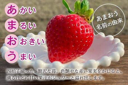 福岡県産あまおう 約270g×2パック 朝採りイチゴ 農家直送 苺専用パッケージでお届け