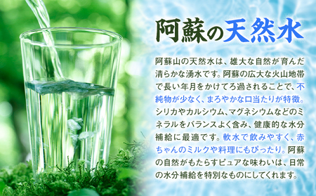 シリカ天然水 2L×10本 株式会社Foody's《30日以内に出荷予定(土日祝除く)》熊本県 菊池市 シリカ水 飲料水 ミネラルウォーター 水 軟水 鉱水 ペットボトル
