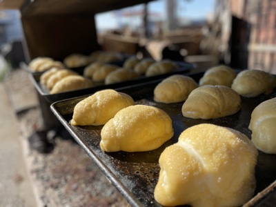 メロンパン 塩メロンパン 10個セット 国産メロンパン 宇城市産メロンパン 人気メロンパン メロンパン パン 菓子パン スイーツ おやつ 朝食 軽食 冷凍 詰め合わせ 熊本県 宇城市