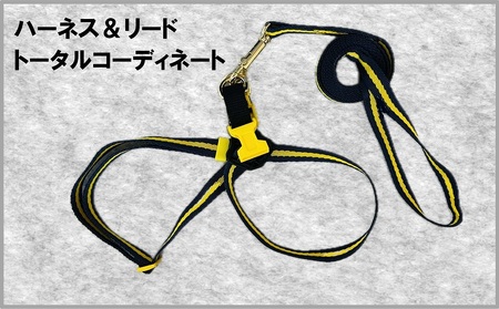 トイプードル向けハーネス＆リード(カラー：紺黄紺)【001-018-4】