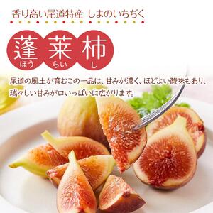 【尾道特産・秋の味覚！しまのいちぢく（訳あり品）】瀬戸内・因島の蓬莱柿（ほうらいし）約320g×5パック【9月より配送】