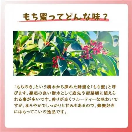 みつばちの雫　国産もち蜂蜜　2000g_調味料 はちみつ  ハチミツ 蜂蜜_【1481084】