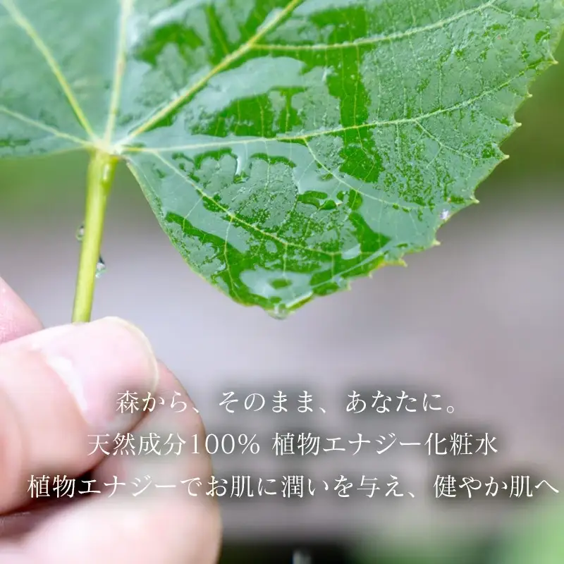【天然成分100%化粧水】umunowaしなの花水　羽越のデザイン企業組合　A75-801