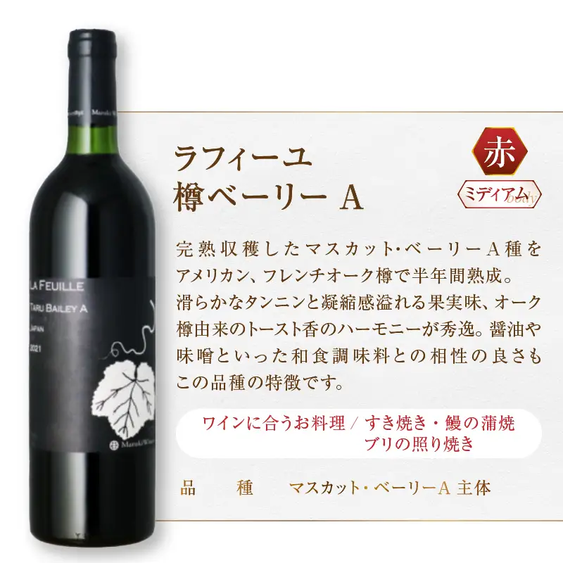 ワイン まるき葡萄酒 丸藤葡萄酒 蒼龍葡萄酒 セレクトワイン6本セット（MG）E3-651