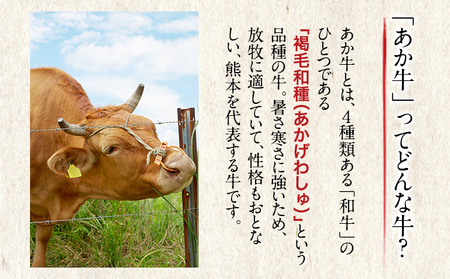くまもとあか牛 すき焼き用 400g 南阿蘇L（阿蘇牧場）《90日以内に出荷予定(土日祝除く)》熊本県 南阿蘇村 すき焼き すきやき 牛肉 肉 あか牛 赤牛
