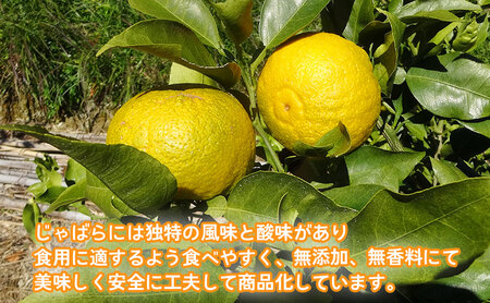 大井川 じゃばら 加工品 5点セット 柑橘 対策 マーマレード 100%果汁 果皮パウダーぐみ ぐみパウダー入り フルーツ