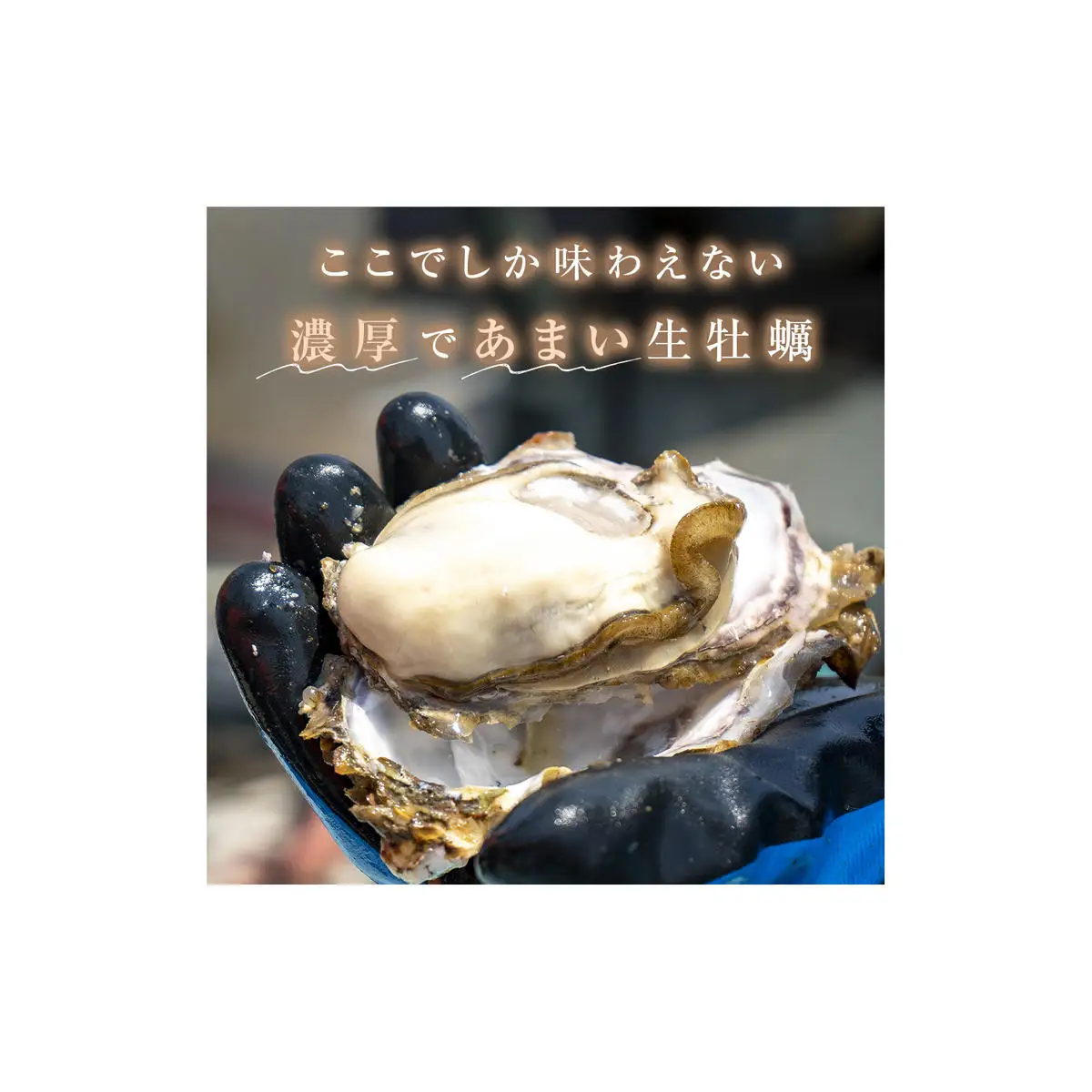 宮城県産 牡蠣 殻付き 生食用 18個（6個入×3袋） 冷凍 カキ