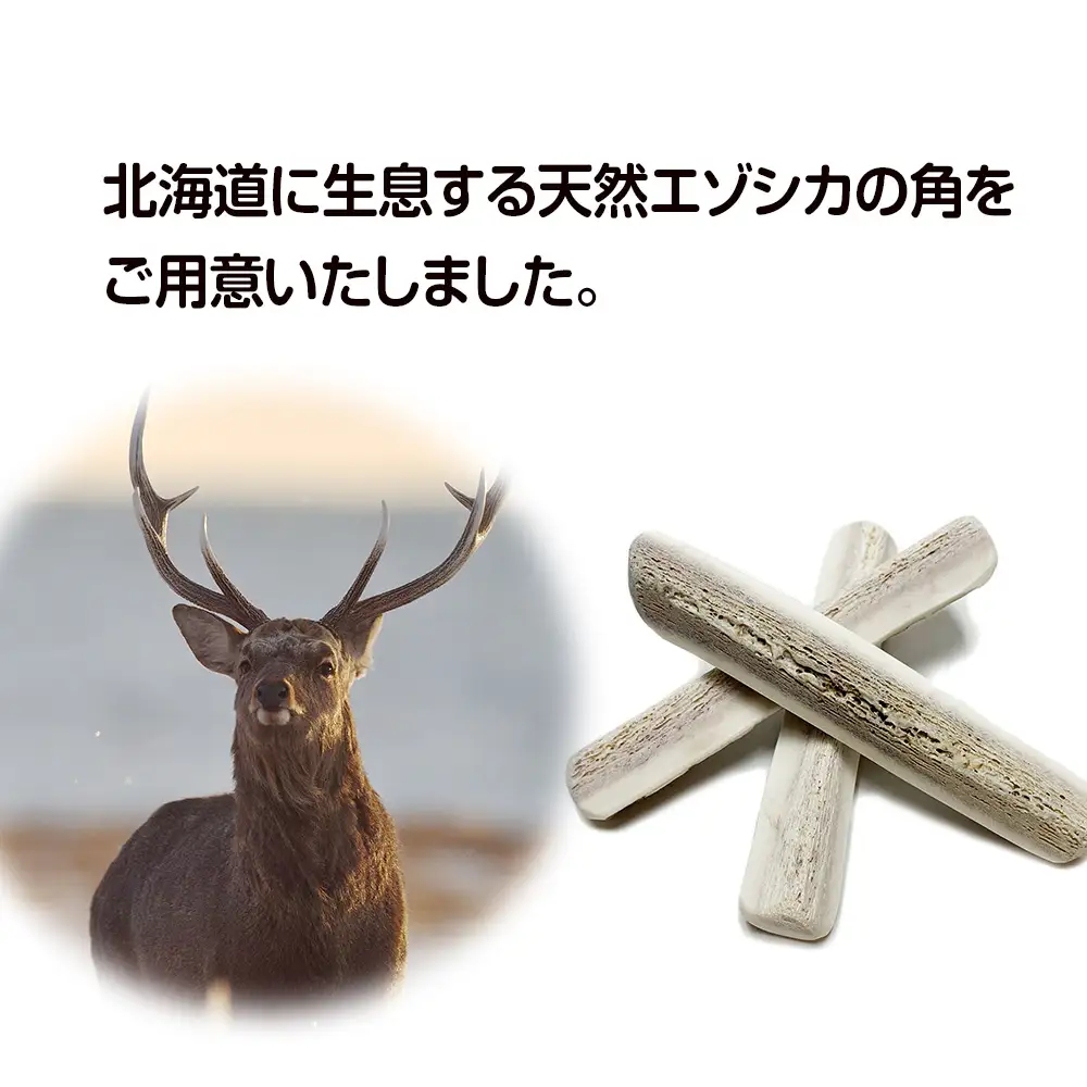 鹿の角 エゾシカ 犬のおもちゃ 『鹿角さん』 中型犬用 割っていないタイプ 1本 CB040
