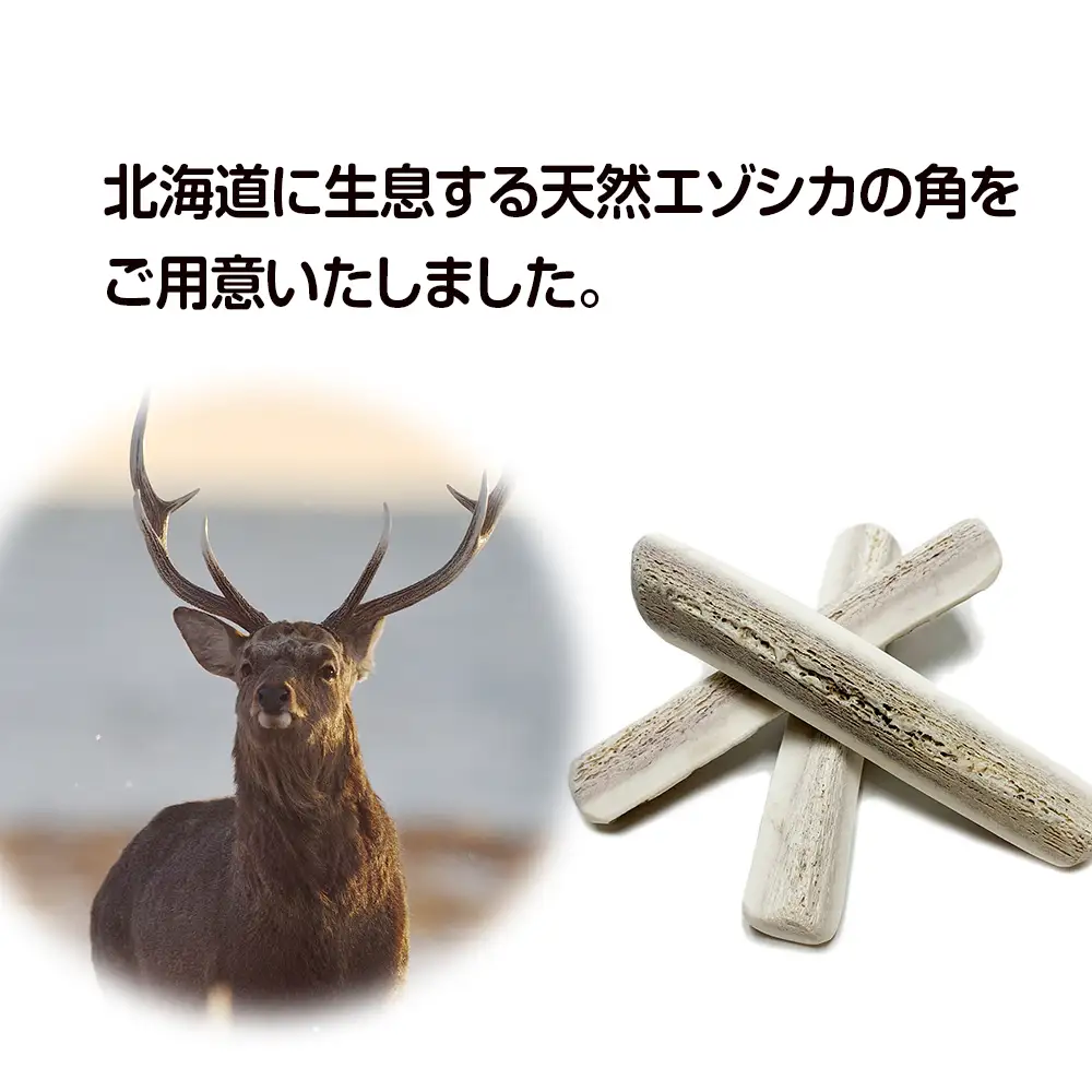 鹿の角 エゾシカ 犬のおもちゃ 『鹿角さん』 中型犬用 割っていないタイプ 2本 CB041