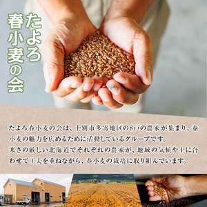 【B7028】＜北海道士別市産小麦＞ たよろの春よ恋 強力粉 ( 1kg×4袋・計4kg) 小麦 小麦粉 強力粉 春よ恋 北海道産 士別市産 国産 国産小麦粉 パン お菓子 料理 1kg【たよろ春小麦の会】