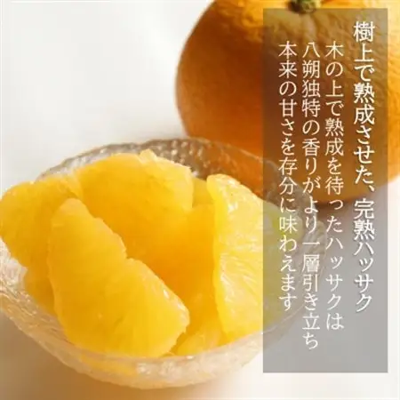和歌山産　完熟木なりハッサクみかん　贈答用　秀品　約10kg箱入り　M～2Lサイズ【1482413】