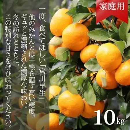 【先行受付】和歌山産　家庭用　宮川早生みかん　約10kg 2S～2Lサイズ【訳ありみかん】【配送不可地域：離島・北海道・沖縄県】【1482416】
