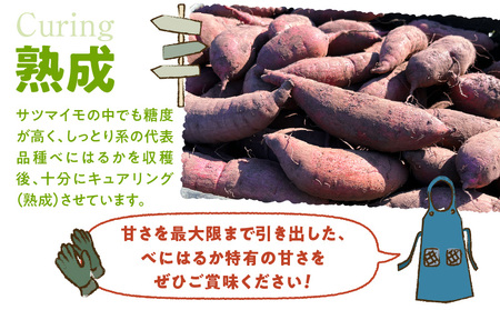 サイズバラバラ熟成べにはるか（生芋）土付き 5kg K270-001