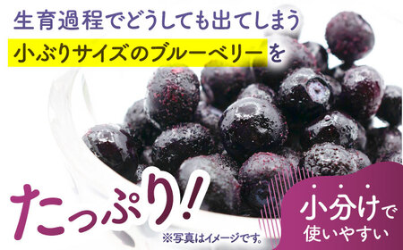 先行予約 【3回定期便】【訳あり】 冷凍ブルーベリー 小粒 約1.5kg（約500g×3pc） 【すみれファーム】[ZEP049]