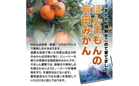 ＼光センサー選別／ ちっちゃな有田みかん こつぶみかん 約5kg （3S～Sサイズ混合）有機質肥料100% ※2026年11月～2027年1月に順次発送予定（お届け日指定不可） 先行予約 みかん 有田みかん 温州みかん ミカン 小粒 柑橘 フルーツ 果物【nuk145C】