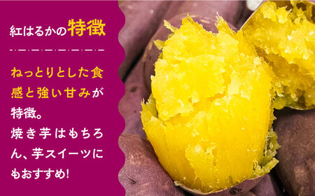 【数量限定】【ねっとり甘い熟成サツマイモ】冷凍焼き芋（紅はるか） 20本(S〜M) / さつまいも やき芋 冷凍 小分け 個包装 冷やし焼き芋 / 南島原市 / 池田海陸物産 [SEW001]