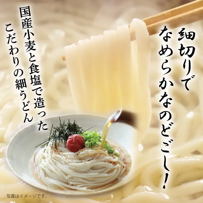 麺名人 国産小麦 細うどん 12食