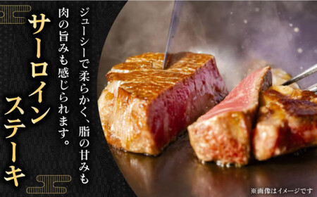 サーロイン ステーキ 計500g[QBD011]牛肉 国産 長崎和牛 サーロインステーキ