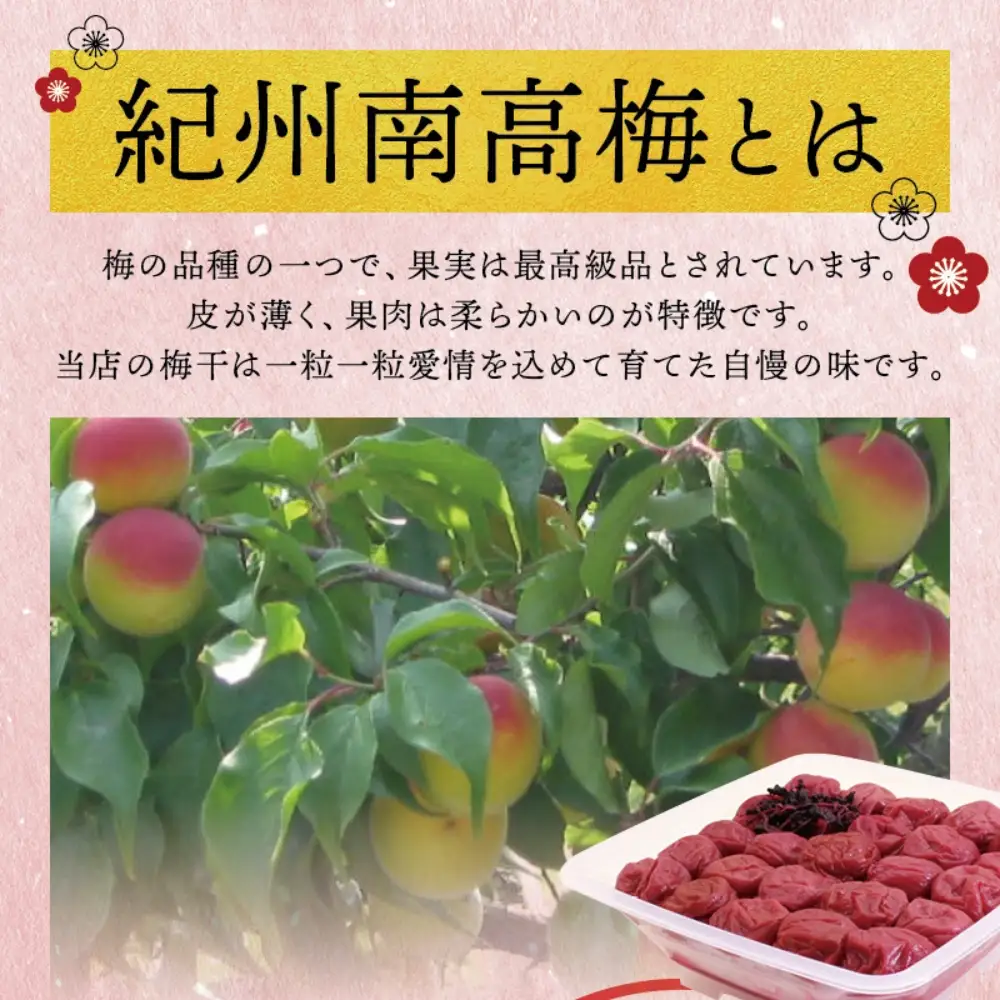梅干し 紀州南高しそ梅干し 1kg 大粒 ご家庭用【inm210B】