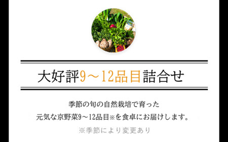 ＜3ヵ月定期便＞鮮度抜群「京野菜」9～12品目詰合せ(毎月×3回) ふるさと納税 福知山市 京野菜 野菜 新鮮 詰合せ 定期便 3か月 【fc-CM007】【ふくこめoffice】