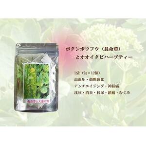 【180杯分！】無農薬ボタンボウフウと大崖石榴茶 （長命草とオオイタビハーブティー） 3袋セット