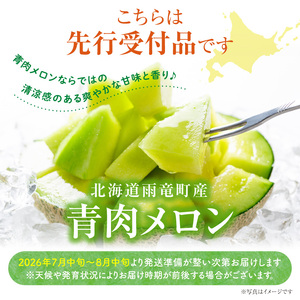  北海道産 暑寒メロン 2玉 3.2kg以上 × 1箱 2026年7月発送  メロン メロン 青肉メロン 北海道産メロン