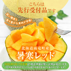 北海道メロン 暑寒レッド 4～5玉 (8kg以上×1箱) 2026年9月発送赤肉  果物 フルーツの王様 春 夏 秋 冬 御中元 フルーツ 生ハム パフェ ケーキ デザート メロン ピューレ めろん さっぱりした甘み お取り寄せ 北海道 雨竜町 送料無料