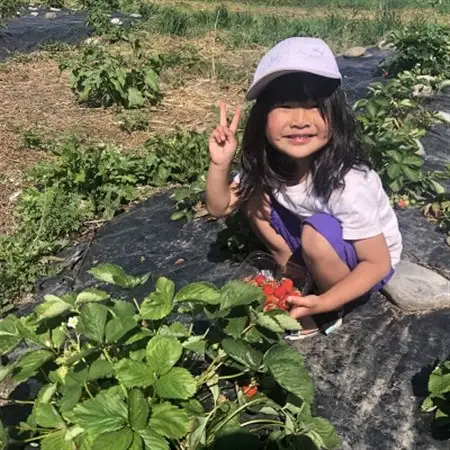 【いちご狩り体験つき】インカルシぺ白樺 1泊2名様 宿泊券(食事なし)|北海道十勝・大樹町_旅行券・チケット 宿泊券  _【1482751】