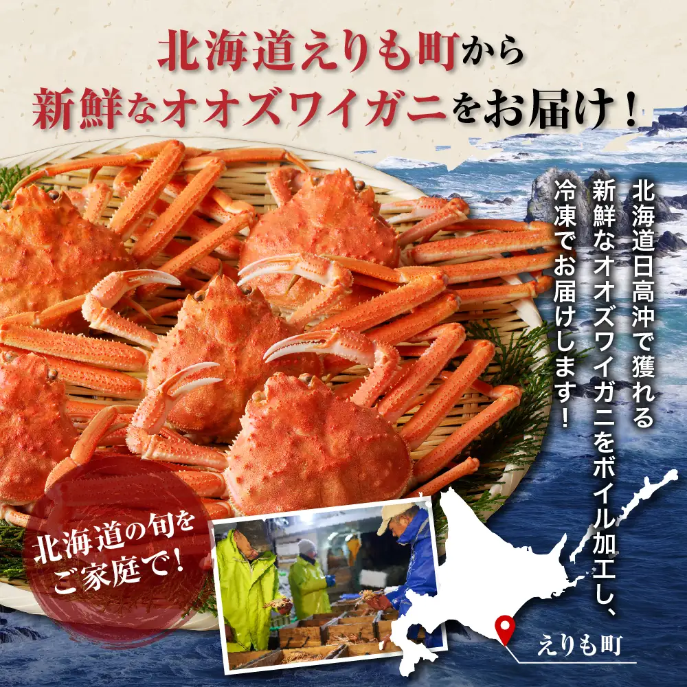 訳あり ボイルオオズワイガニ 姿 1kg(4尾～5尾)