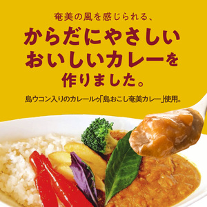 パパイヤ入り奄美カレー 5袋 A003-008 鹿児島 奄美市 奄美大島 レトルトカレー チキンカレー 島ウコン 青パパイヤ入り 島料理 島じゅうりまごころ便パッケージ 湯せん 加熱