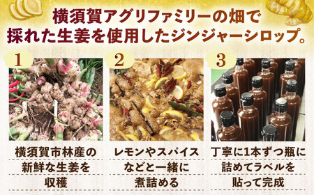 横須賀ジンジャーシロップ 275ml×6本 ジンジャーシロップ  生姜 健康 調味料 ギフト お土産 横須賀【有限会社たのし屋本舗】 [AKAE033]