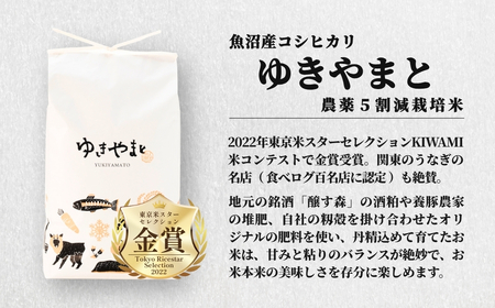 令和8年産先行予約 魚沼産コシヒカリ ゆきやまと 5kg×1袋 特別栽培 | 津南町 魚沼