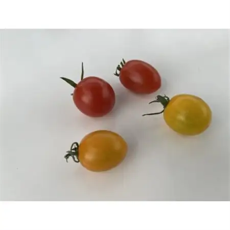 新ミニトマト甘っこミックスセット【1483676】