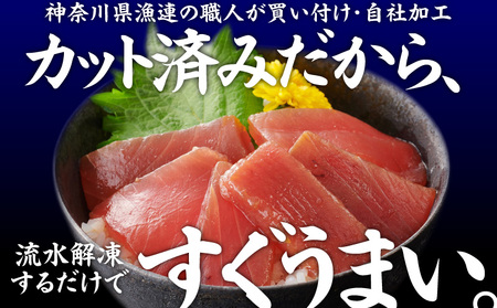 ＜選べる配送月＞【 神奈川県漁連 】 ＜ 小分けパック で 使いやすい ＞切れてる 天然マグロ 100g×10パック  M077-005 冷凍 マグロ