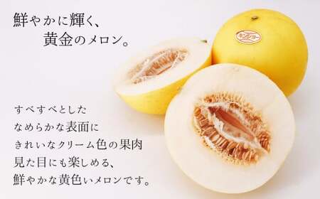 熊本県たまな産 キンショウ メロン 2玉 （ 約 1.4kg ）  | フルーツ 果物 くだもの 旬 メロン キンショウメロン 熊本県 玉名市