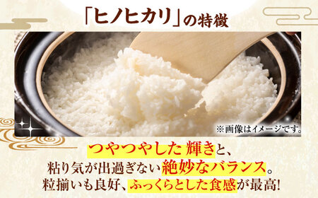 【11月上旬から順次発送】白米 10kg（ヒノヒカリ）白米[AGAP009]