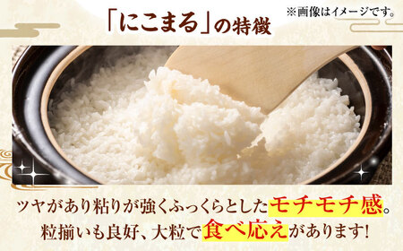 【11月中旬から順次発送】お米 5kg（にこまる）お米[AGAP005]