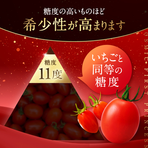 OSMIC FIRST PRINCESS 4箱セット　【トマト オスミック 千 ブランド 野菜】 国産 付け合わせ サラダ トッピング 糖度11 驚きの甘さ 