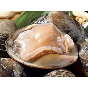  [船上]剥きほっき（刺身用）500g（10玉前後）×1袋 ほっき ほっき貝 ホッキ ホッキ貝 北寄 北寄貝 