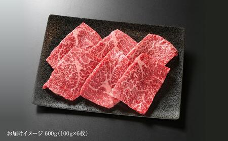 飛騨牛 赤身ステーキ 600g（100g×6枚） 冷凍真空パック | 肉 お肉 ステーキ 和牛 人気 【飛騨高山ミート MZ018】〔飛騨牛国産　飛騨牛和牛　飛騨牛ブランド　飛騨牛黒毛和牛〕