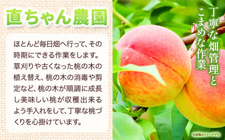 あら川の桃 約2kg(5～8玉) 