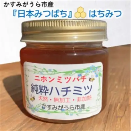 かすみがうら市産『日本みつばち』の純粋はちみつ 150g×2個_調味料 はちみつ  ハチミツ 蜂蜜_【1481289】