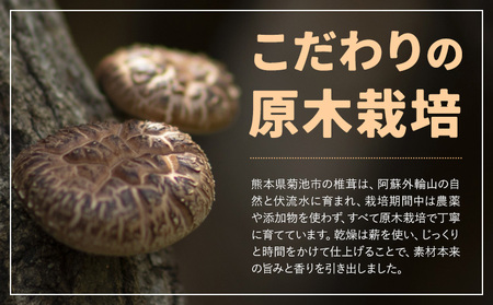 原木栽培 干し椎茸 スライス 使い方説明付き 70g × 1袋 合同会社くまもとごはん《30日以内に出荷予定(土日祝除く)》熊本県 菊池市 ジッパー袋 水で戻すだけ 椎茸 しいたけ きのこ スライス 熊本県産 九州産