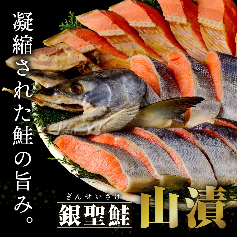 日高産銀聖鮭山漬姿切身約2.5kg