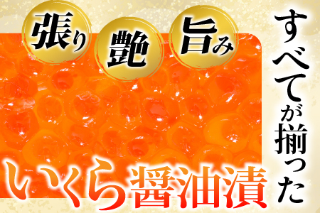 根室海鮮市場[直送]いくら醤油漬160g×3P(計480g) B-28012
