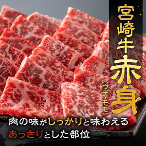 牛肉 牛タン 【令和8年7月発送】宮崎牛赤身焼肉＆塩だれ牛タン計900g 【肉 赤身 牛肉たん 厚切り 焼くだけ 小分け 味付きBBQ 焼肉 簡単調理】