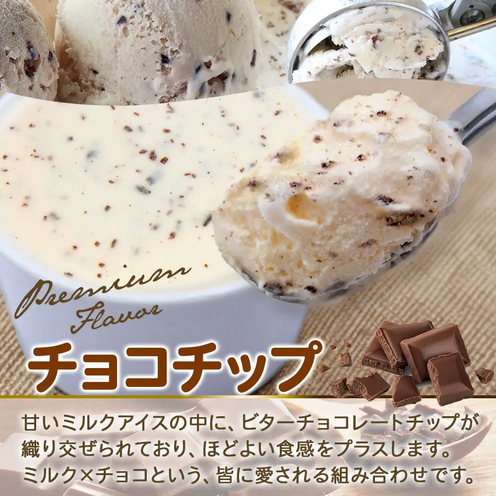 2347. 無地熨斗 くりーむ童話 カップアイス チョコチップ 100ml×6個 アイスクリーム アイス スイーツ 牛乳 ミルク 贈り物 gift ギフト プレゼント 詰め合わせ 送料無料 北海道 弟子屈町