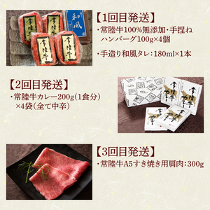 6ヶ月 定期便 肉 常陸牛 Aコース ハンバーグ 焼肉 すき焼き レトルトカレー 肉のイイジマ（DU-107）