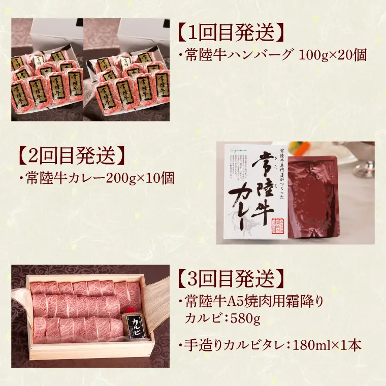 6ヶ月 定期便 肉 常陸牛 Cコース  肉のイイジマ（DU-109）