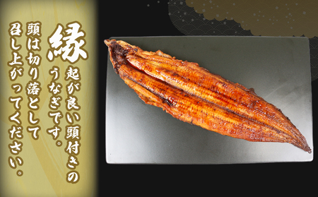 【 うなぎの蒲焼き 】 うなぎの蒲焼き 170g～180g×2 河野鮮魚店 D025-177003
